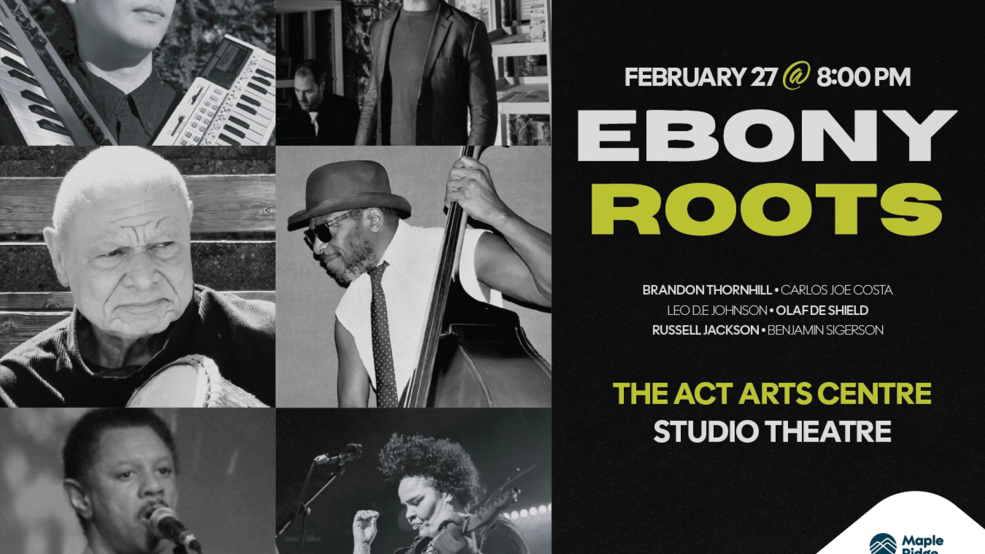 Contains images of a number of musicians.