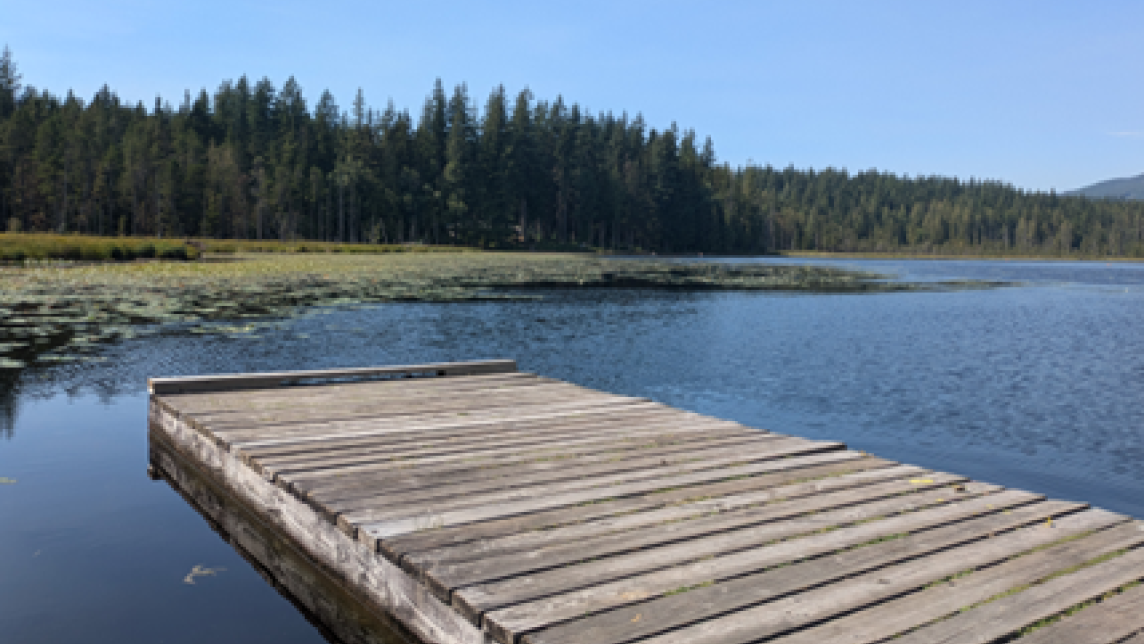 Part of the original Whonnock dock with the lake and trees in the background 