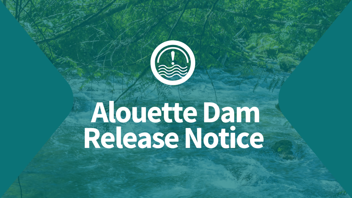BC Hydro Planning Controlled Release at the Alouette Dam | Maple Ridge, BC