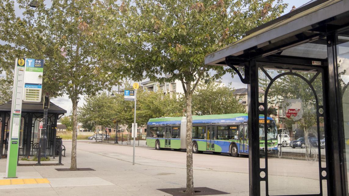 The Haney Place Mall bus loop.