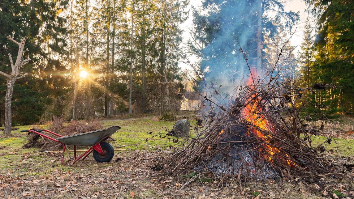 Yard clean up with wheelbarrow full of clippings and a bonfire