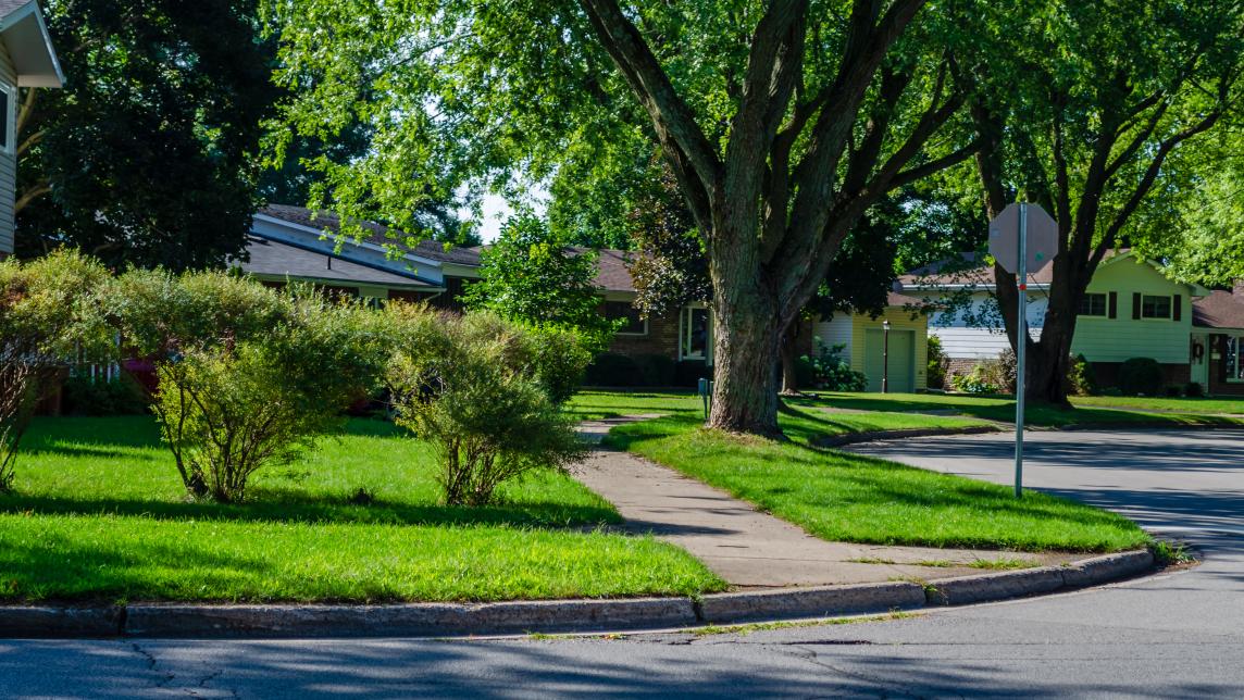 A street curves around a boulevard full of trees and shrubs. 
