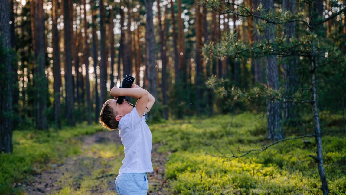A young boy in a forest cranes his neck to look straight up at the treetops with binoculars.