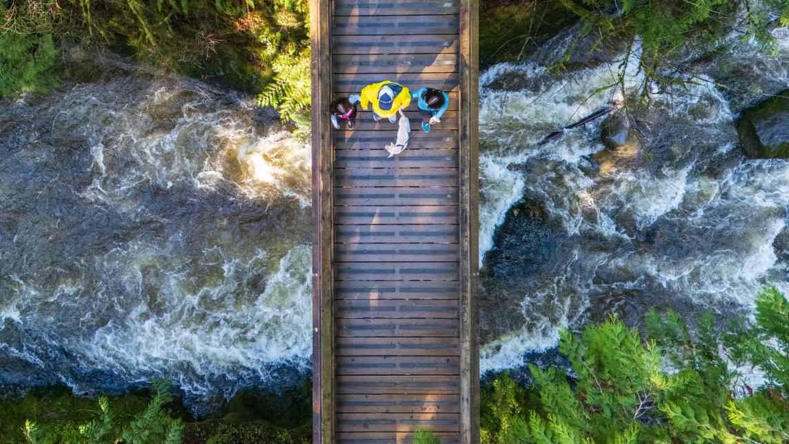 An aerial view of three people walking their dog across a wooden bridge overtop a raging river.