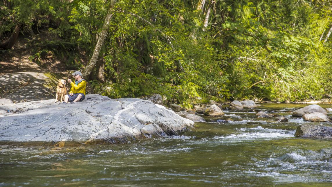 A man and his dog sit on a rocky outcropping overlooking Davidson's pool as the waters flow serenely past.