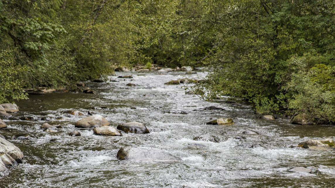 The South Alouette River weaving its way through and over the rocks.