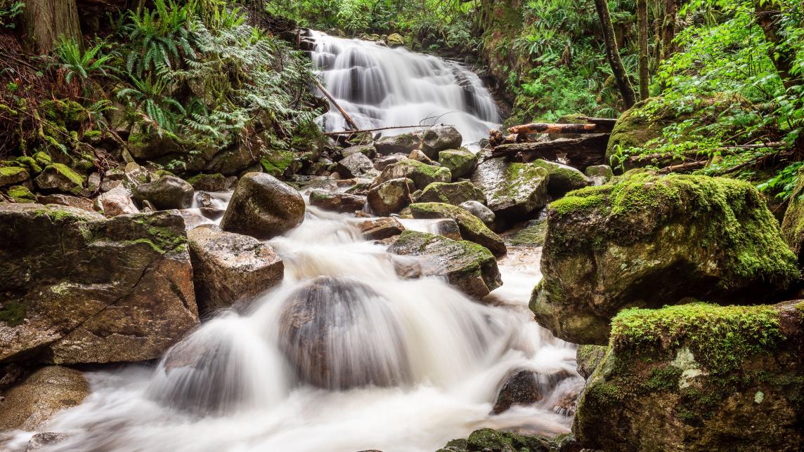 Whispering Falls waterfall. 