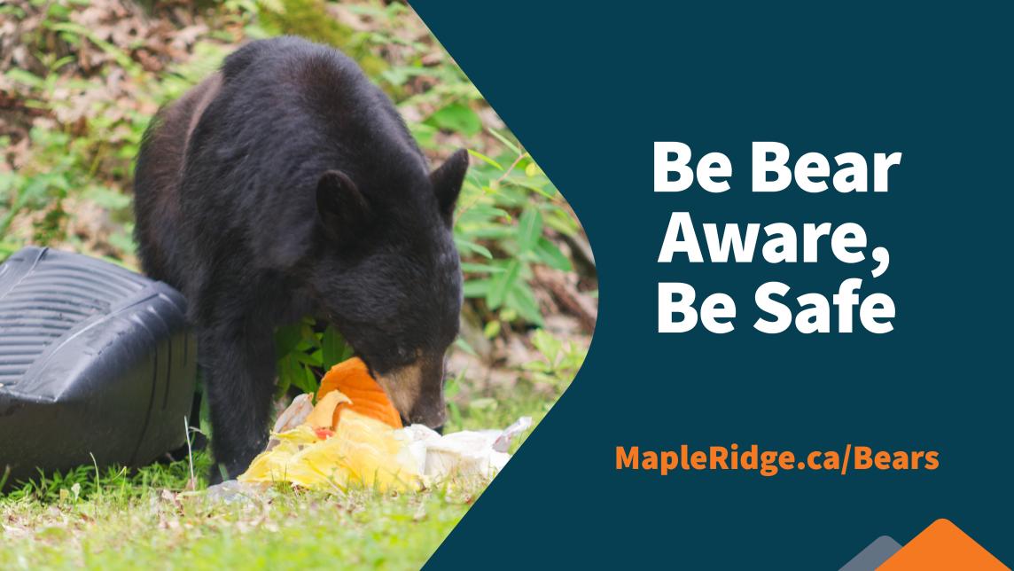 Be bear aware, be safe. MapleRidge.ca/Bears