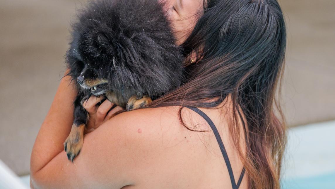 Dog Being Carried in the Pool by their Owner at Hammond Outdoor Pool