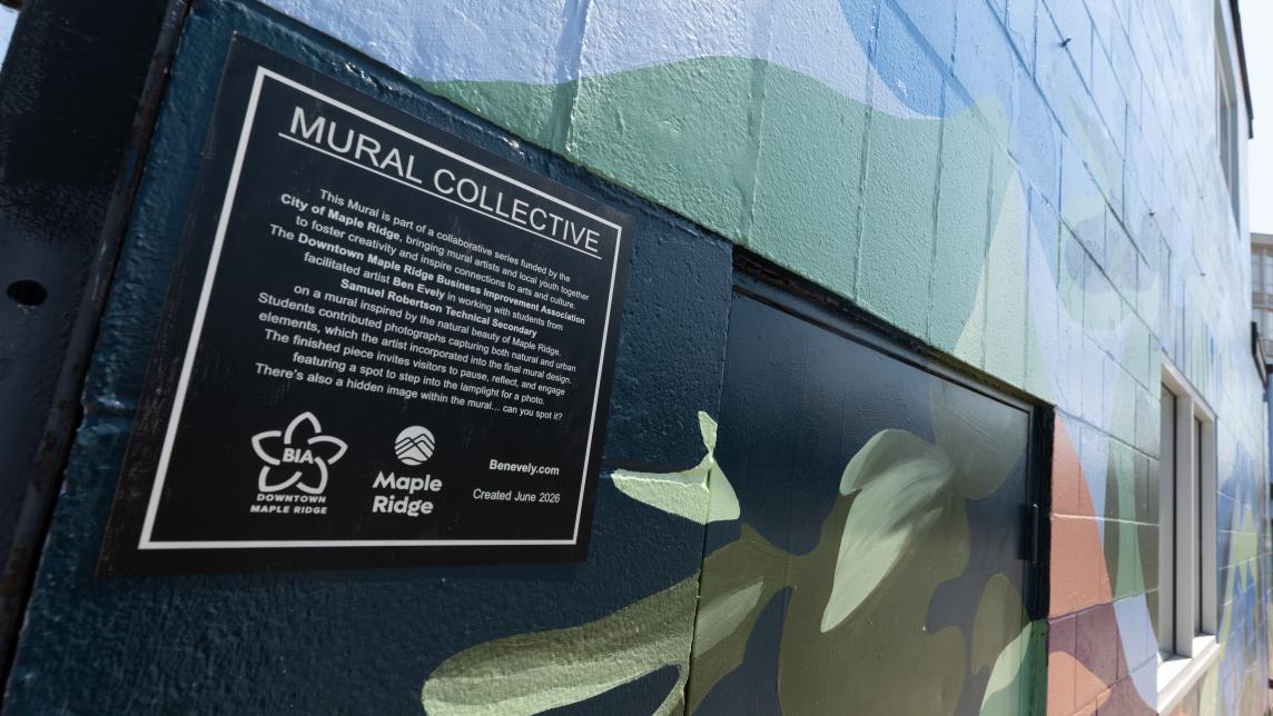 A close-up of the Mural Collective information plate affixed to to the mural.