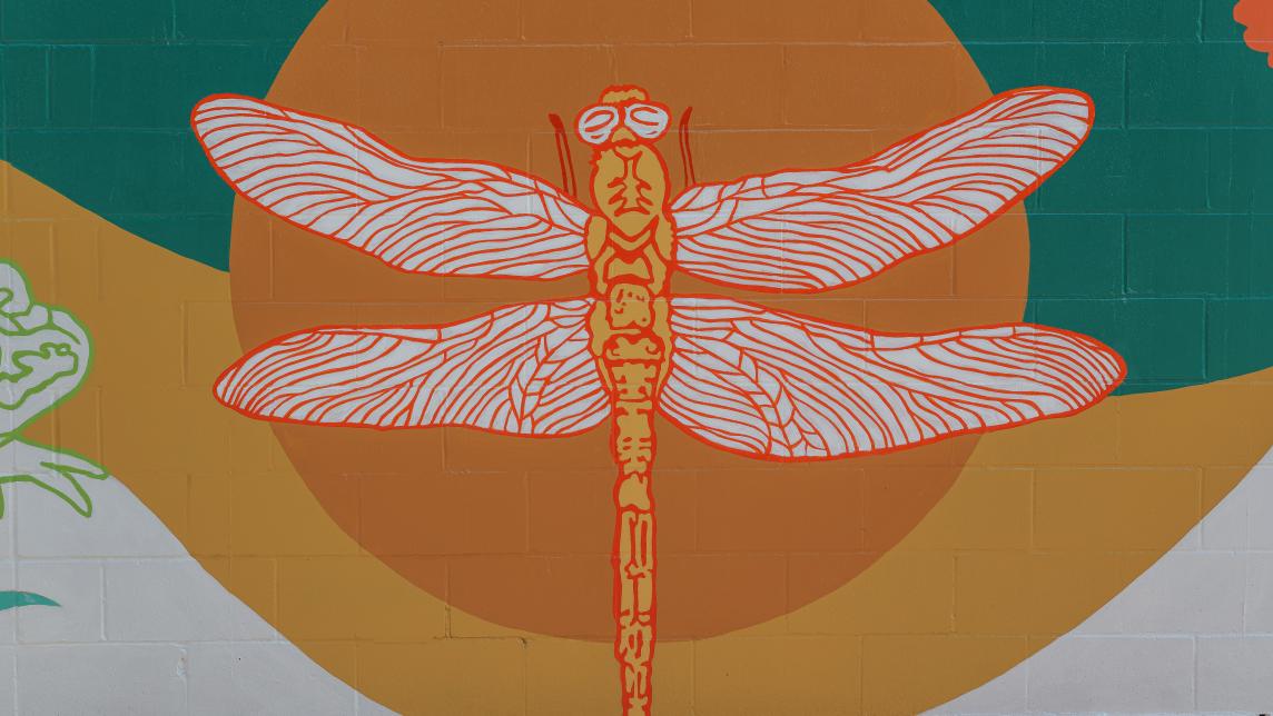 A close up of the dragonfly part of the mural showing the wing vein detailing.