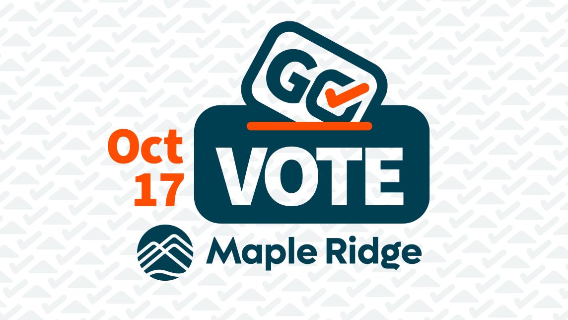 Go Vote October 17