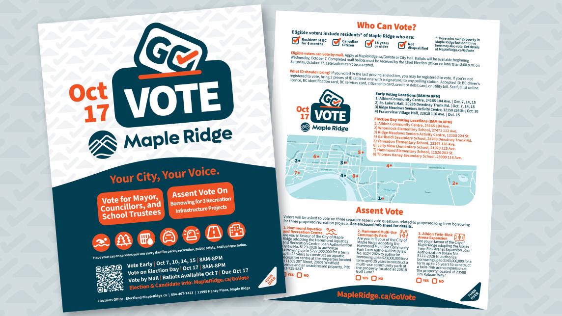 Image of the Go Vote voter info sheet mailed to residents