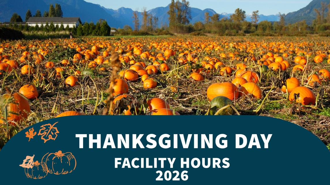 Laity-pumpkin-field