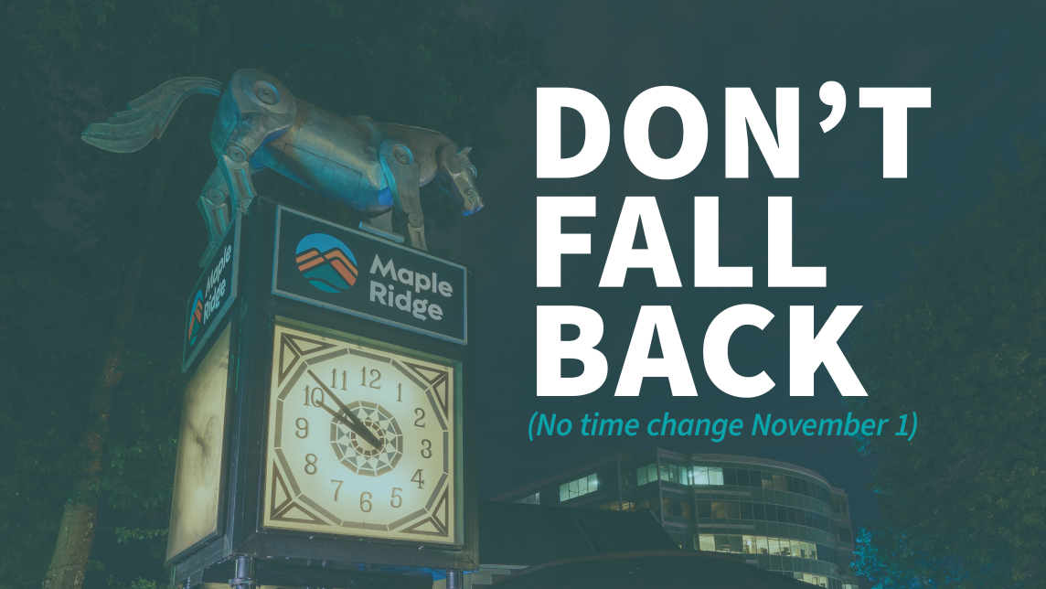 Don't Fall Back - No time change November 1