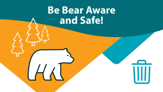 Bear graphic