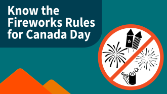 graphic of no fireworks and firecrackers