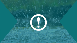 Raindrops