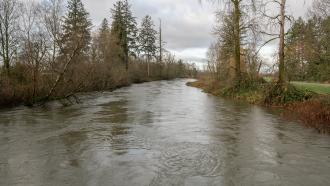 A muddy river overflows its banks thanks to previous heavy rains.