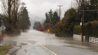 flood