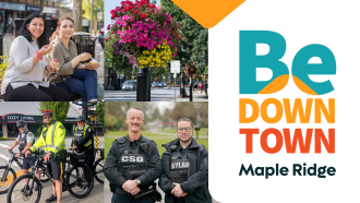 photos of CSO officers in downtown