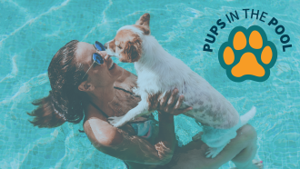 Woman and Dog Swimming Together in an Outdoor Pool