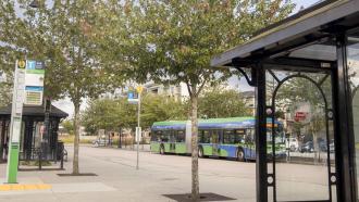 The Haney Place Mall bus loop.