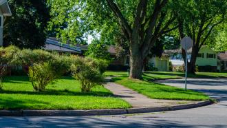 A street curves around a boulevard full of trees and shrubs. 