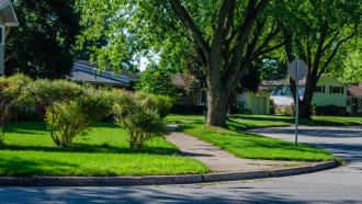 A street curves around a boulevard full of trees and shrubs. 