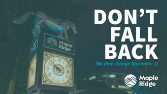 Don't Fall Back - No time change November 1