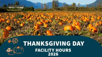 Laity-pumpkin-field