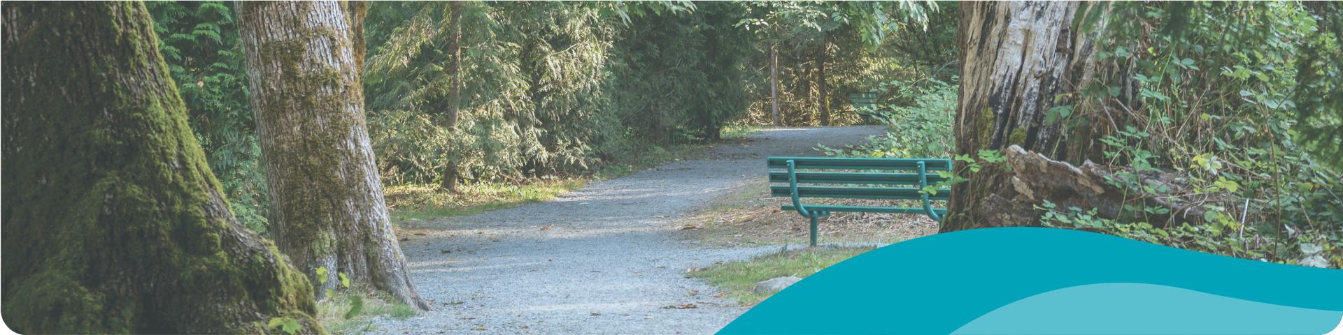 beautiful trail at Maple Ridge park 