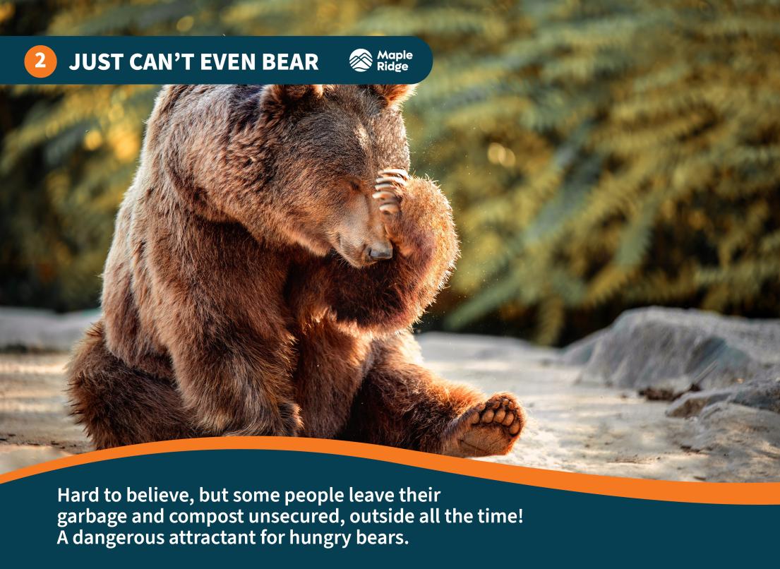 Just Can't Even Bear