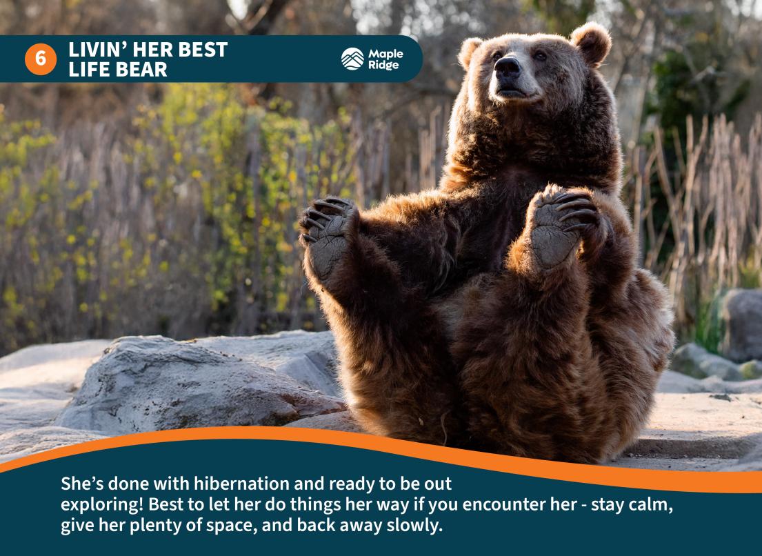 Livin her best life bear