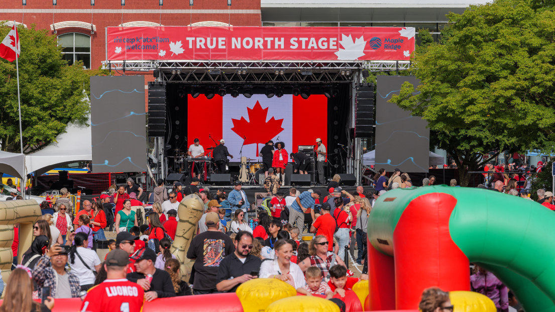 Crowd Watching Performers on Canada Day