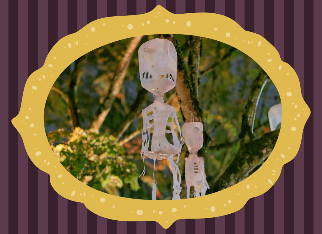Spooky Decoration Displays at Celebrate the Night