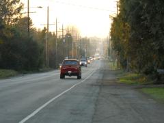 A line of cars travels down Dewdney Trunk Road. A gravel pathway separates the road from the greenery on either side.