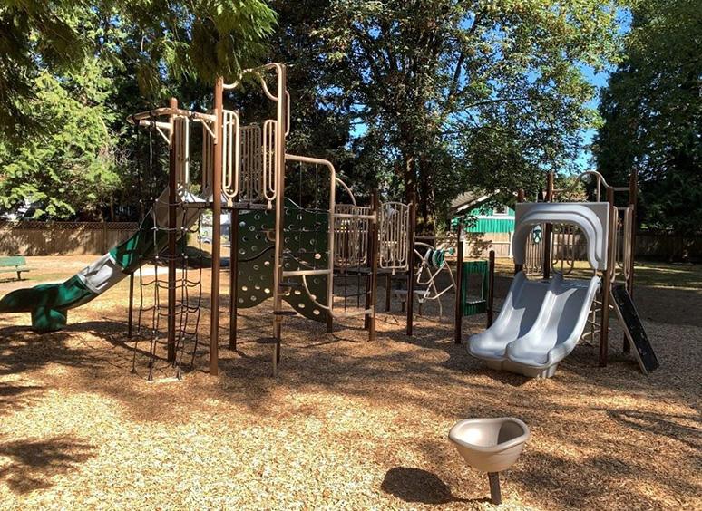 Camwood Park Playground in fall