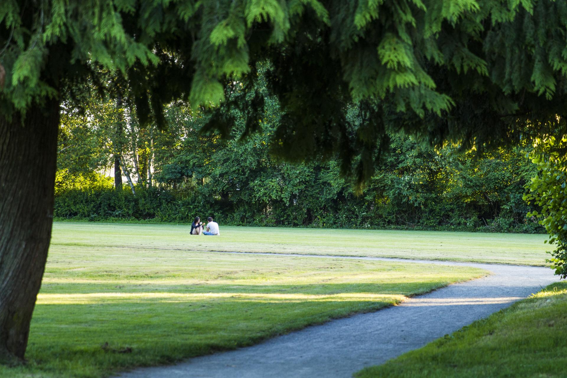 A gravel pathway cuts under a tree and through a field. In the distance, a pair of park goers sit in the grass.
