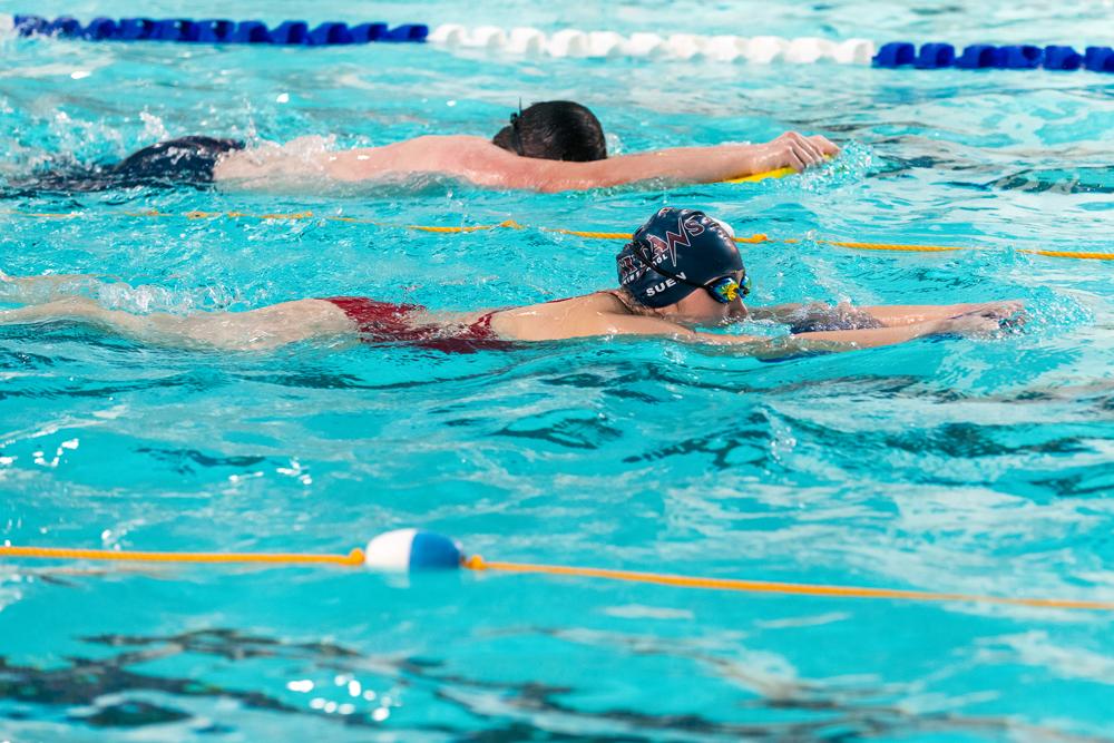 lane swimmers pool