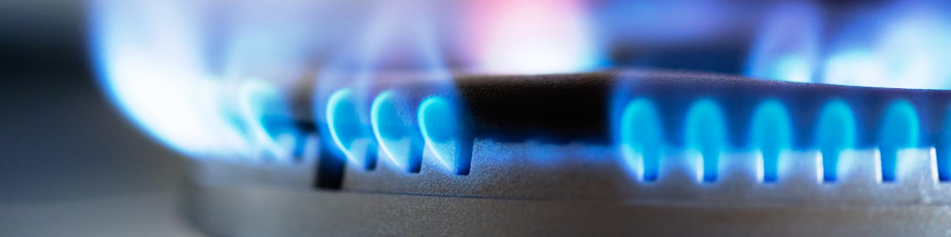 Blue flames leap out from under a gas burner's black cap.