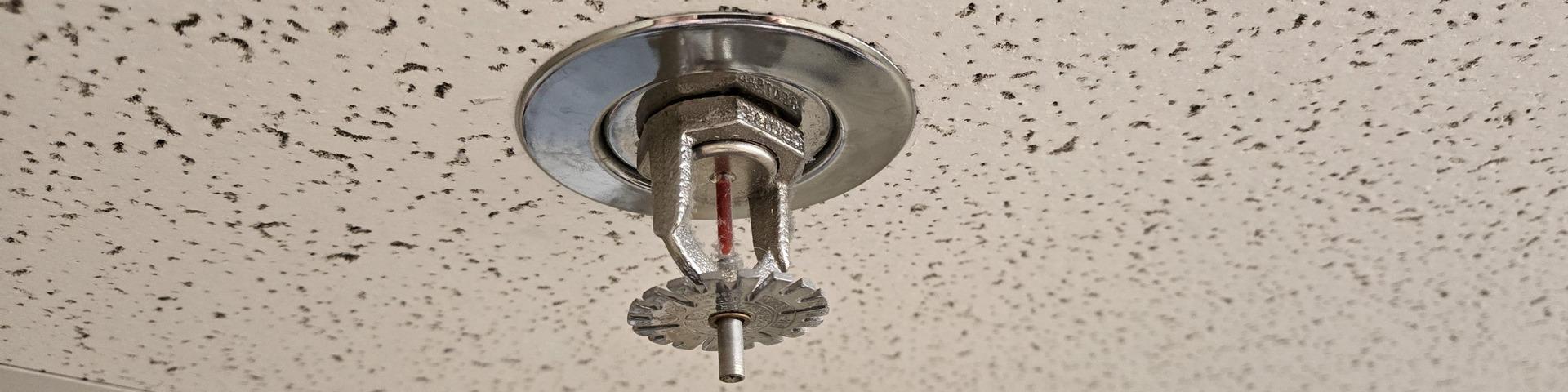 A fire suppressant sprinkler hands from a porous white ceiling.