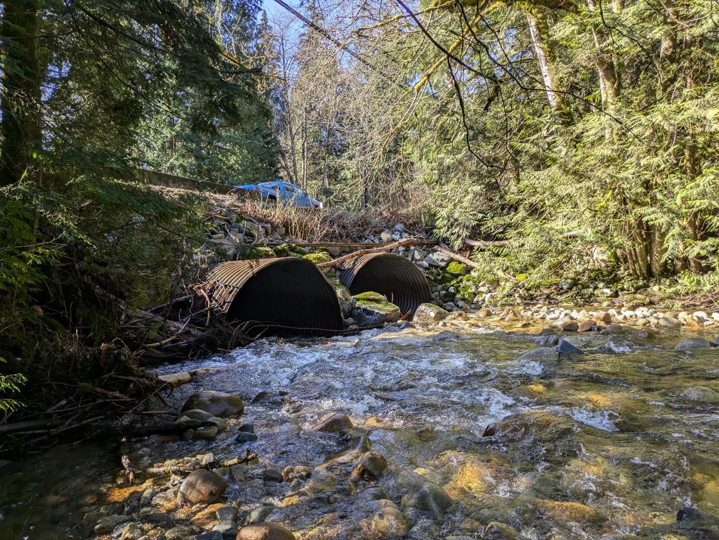 Current culvert under Dewdney Trunk Road just east of 272 Street