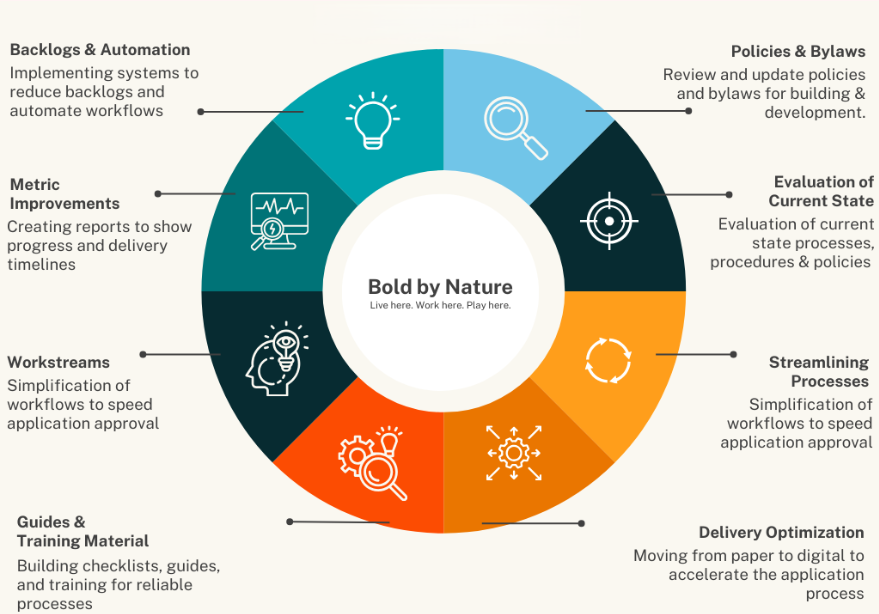 Pie Chart showing the plan in action for the DSO team