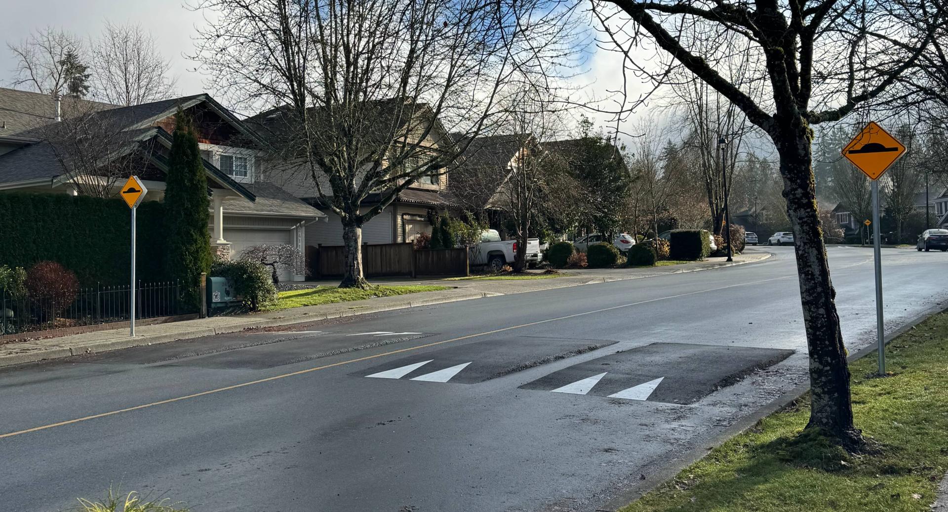 Speed cushions and signage on McClure Drive
