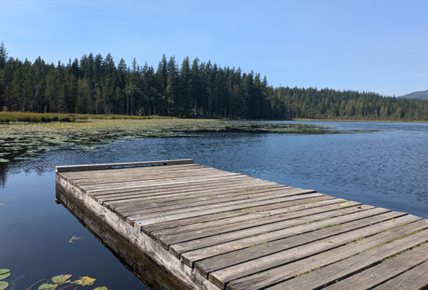 Part of the original Whonnock dock with the lake and trees in the background 