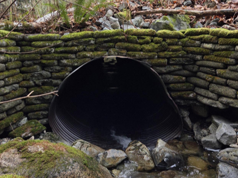 The east outlet of the northern culvert on 269 Street over McFadden Creek