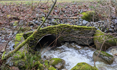 The west outlet of the northern culvert on 269 Street over McFadden Creek