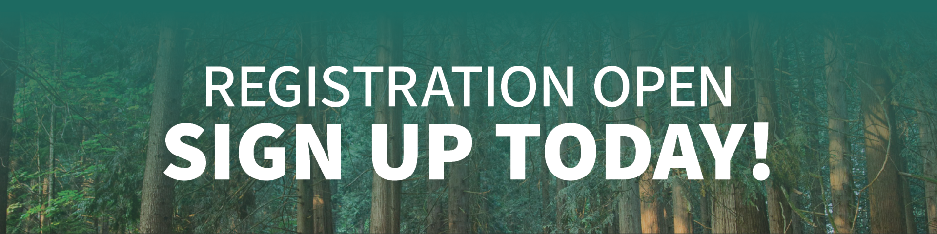 Forest with Words Registration Open Sign Up Today