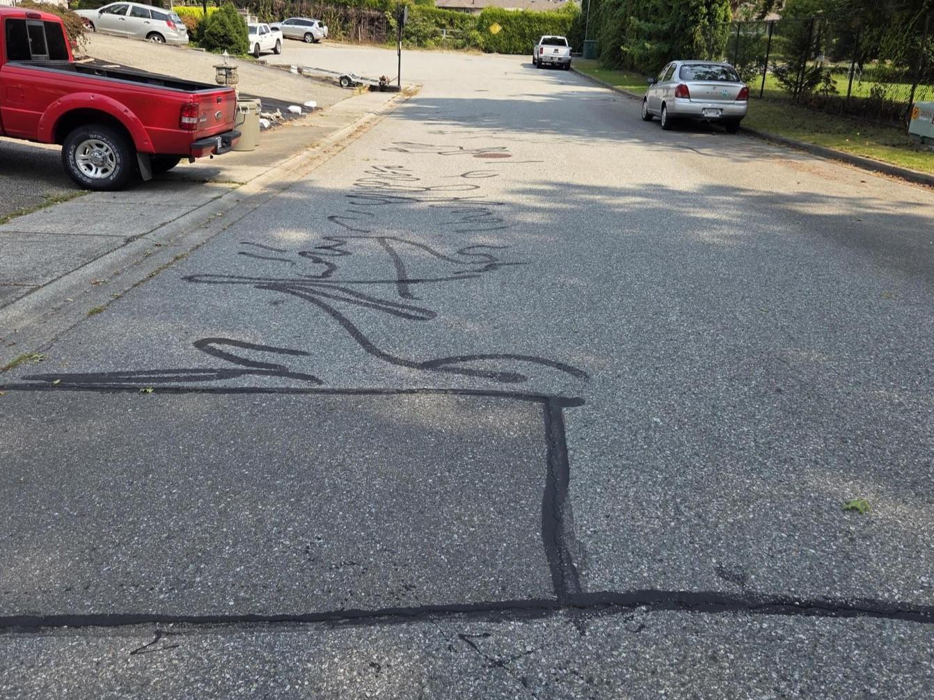 A residential road with sealed cracks